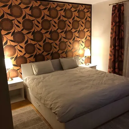 Apartament Antoaneta Apartment Risnov
