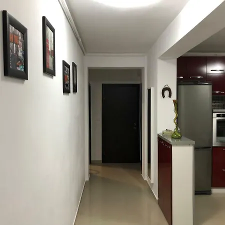 Apartment Apartament Antoaneta Risnov