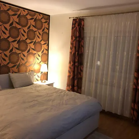 Apartament Antoaneta *
